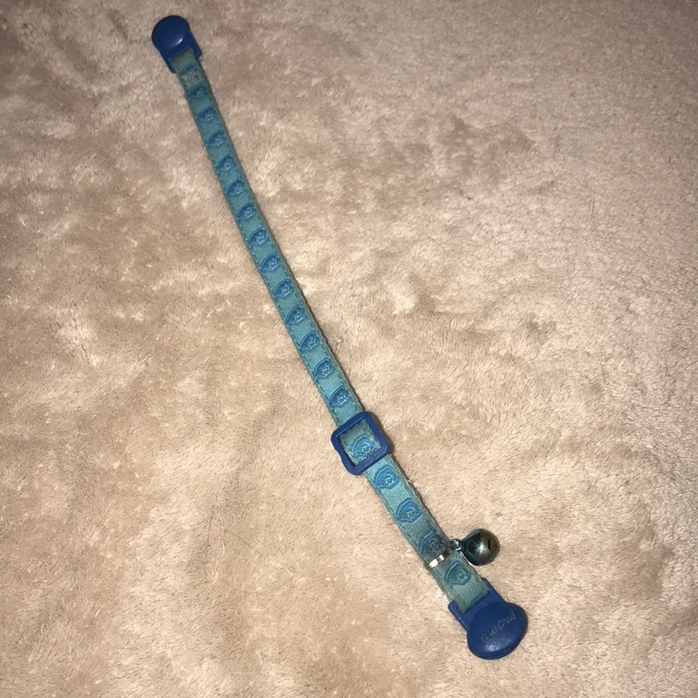 Blue adult cat collar pre 💕 breakaway